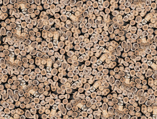 abstract of wood log texture background