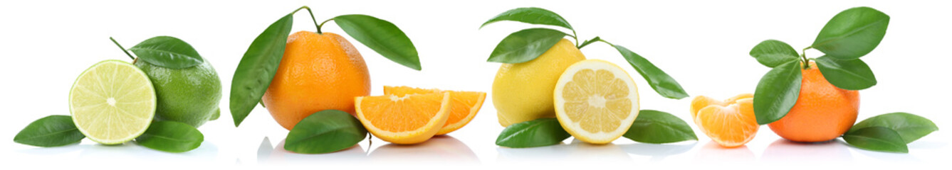 Collage Orangen Zitrone Mandarine Früchte in einer Reihe Freist