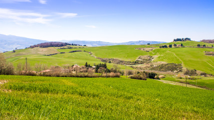 Fototapeta na wymiar Tuscan coutryside, Italy