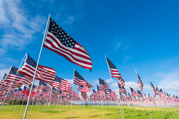 Field of American Flags