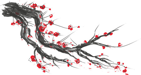 Realistic sakura blossom - Japanese cherry tree isolated on white background. Vector - obrazy, fototapety, plakaty