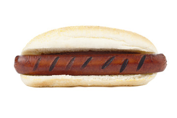 hot dog sandwich
