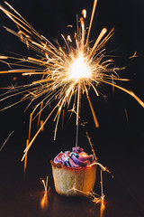 Shot of tasty dessert with sparkler