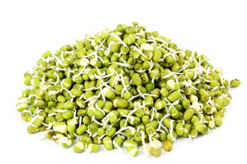 Sprouted mung beans or green gram beans in white background