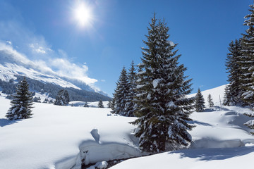 Wintersonne über Schneelandschaft