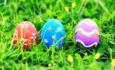 easter eggs on green grass