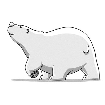 funny cartoon cute bear illustration
