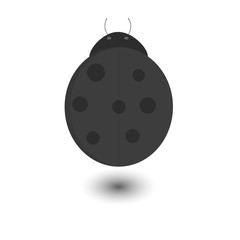 Illustrated ladybug icon in grayscale with dropped shadow isolated on white background, butterfly