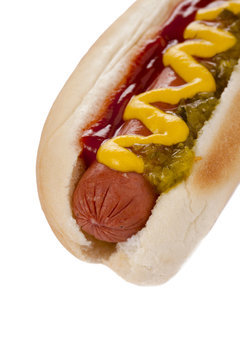 macro shot in hotdog sandwich