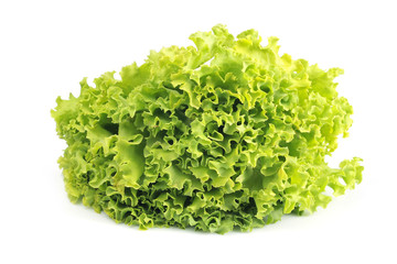 Green bunch of salad leafs. Lettuce
