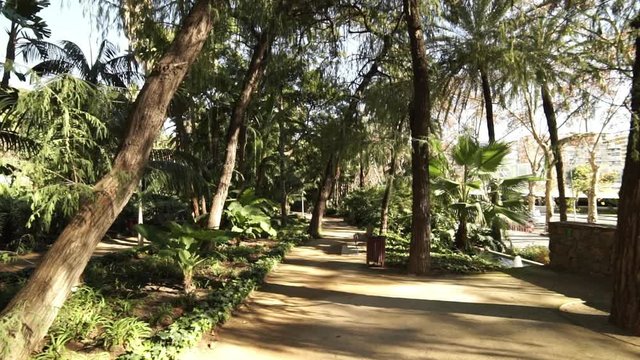 Malaga Palm tree gardens