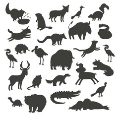 North America animals silhouettes, isolated on white background vector illustration. Black contour big vector set. Preschool, baby, continents, education, drawn