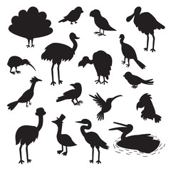 Set of birds black silhouettes. Vector illustration, isolated on a white background