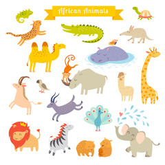 Fototapeta premium African animals vector illustration. Big vector set. Preschool, baby, continents, travelling, drawn