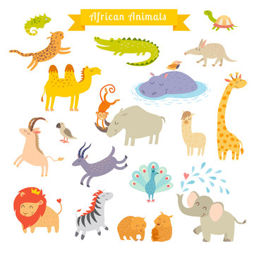 African animals  vector illustration. Big vector set. Preschool, baby, continents, travelling, drawn