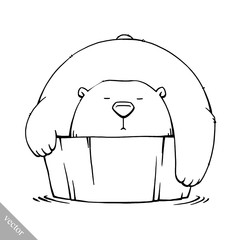 funny cartoon cute bear illustration