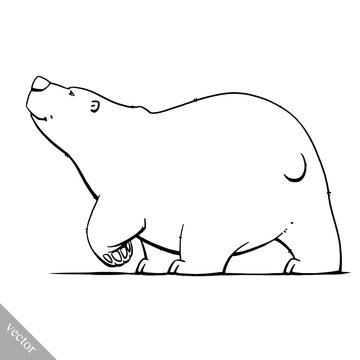 funny cartoon cute bear illustration