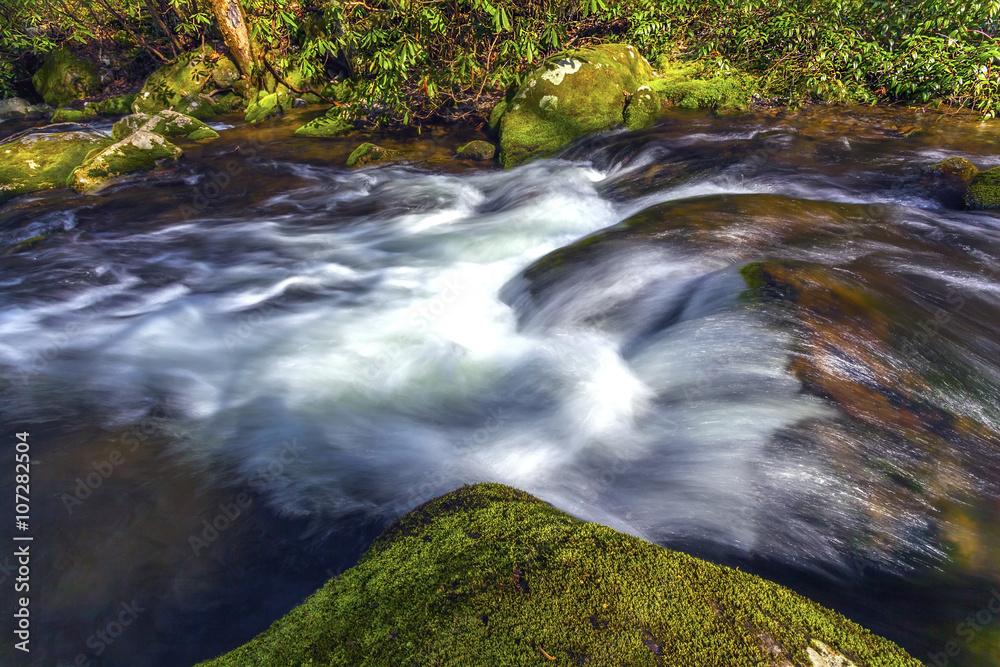 Canvas Prints Stream in Gatlinburg Tennessee