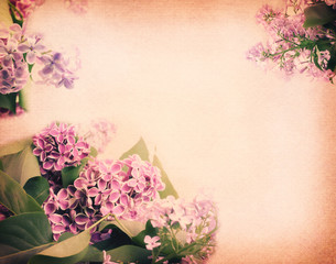 gentle mauve blurred spring background with a branch of lilac in