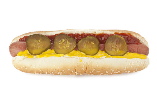hotdog sandwich with tasty garnish