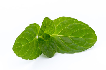 Mint leaves isolated on white background.