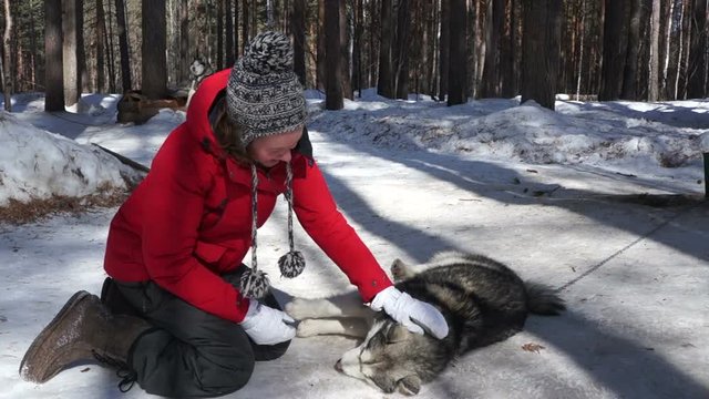 Young woman petting huski dog