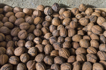 Nueces.