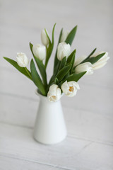 white tulips in a vase on a white background. spring background.