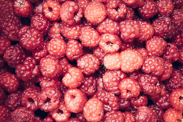 Glamour background with delicious berries. Crop of raspberries