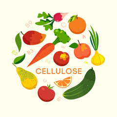 Healthy eating set, vegetables and fruits, cellulose, vitamins. Vector illustration
