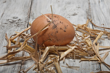 Fototapeta na wymiar farm eggs