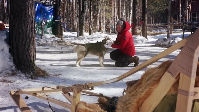 Young woman in a red jacket petting huski dog