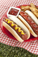 fresh hot dog sandwiches and fries