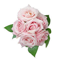 薔薇