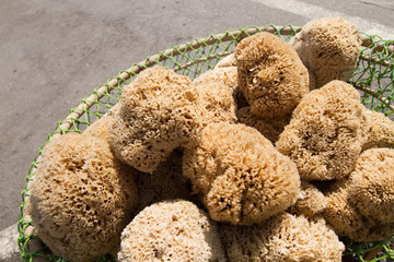 Freshly caught natural sponges in a basket - from the Mediterranean Sea at the Greek coast
