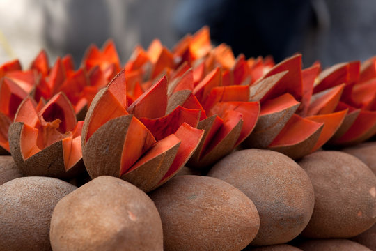 Mamey in market