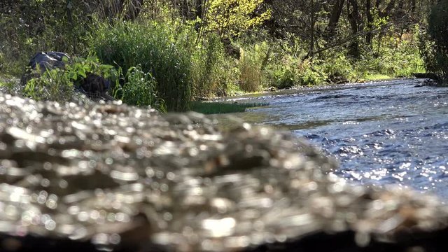 Green vegetation and trees along the edge of the river with riprap sheltered grid serve to strengthen the shore
