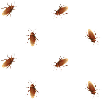 cockroach red seamless pattern on white background