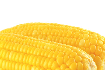 Close up corn pattern background