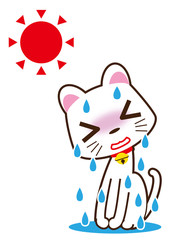 大汗　白猫