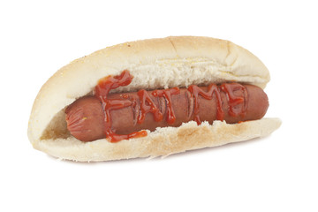 hotdog sandwich with ketchup