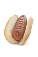 bun with hotdog