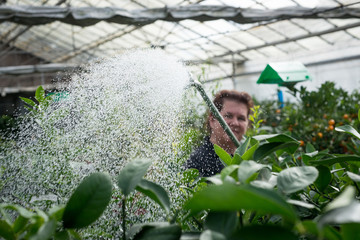 Female Gardener Watering Many Plants in a Bright Greenhouse