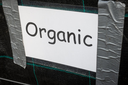 Laminated Organic Sign in Comic Sans Taped to Dark Background