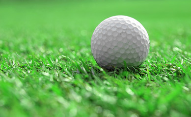 Golf Ball on the Green Grass