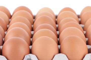 close up Eggs pattern background