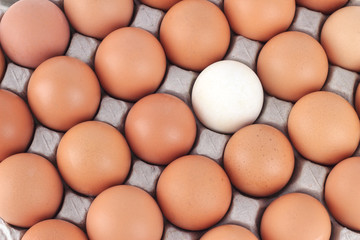 close up Eggs pattern background