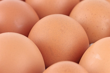 close up Eggs pattern background