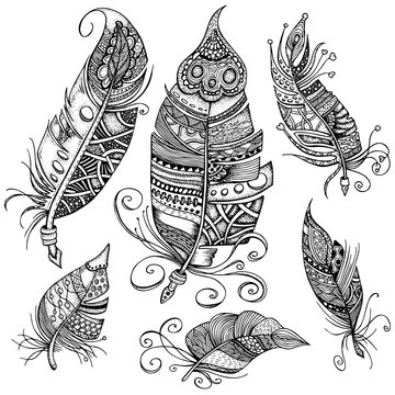 hand drawn line art of feathers with ornaments