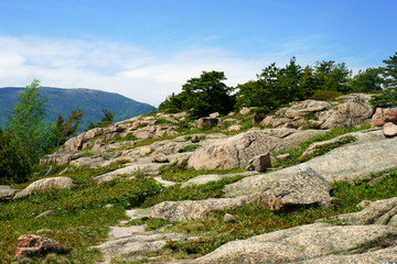 Stony hill with low coniferous trees in a bright sunny day.